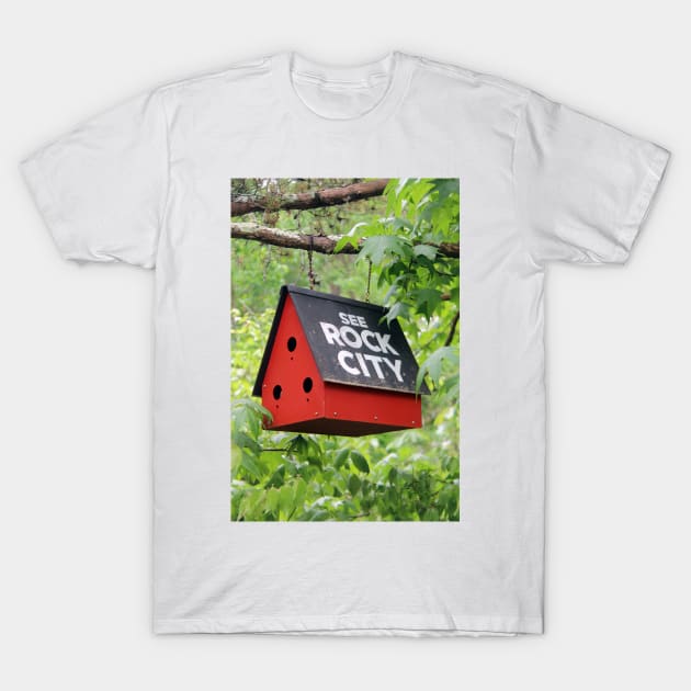 See Rock City - Lookout Mountain, Georgia T-Shirt by searchlight